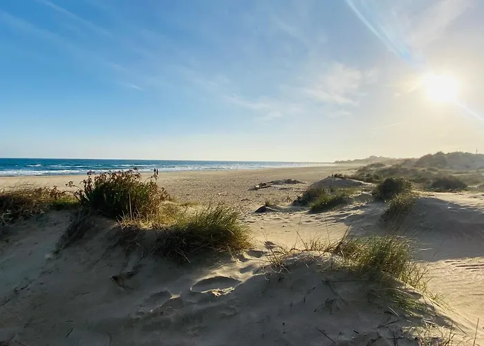 Centre Port Cap D'agde Lägenhet *